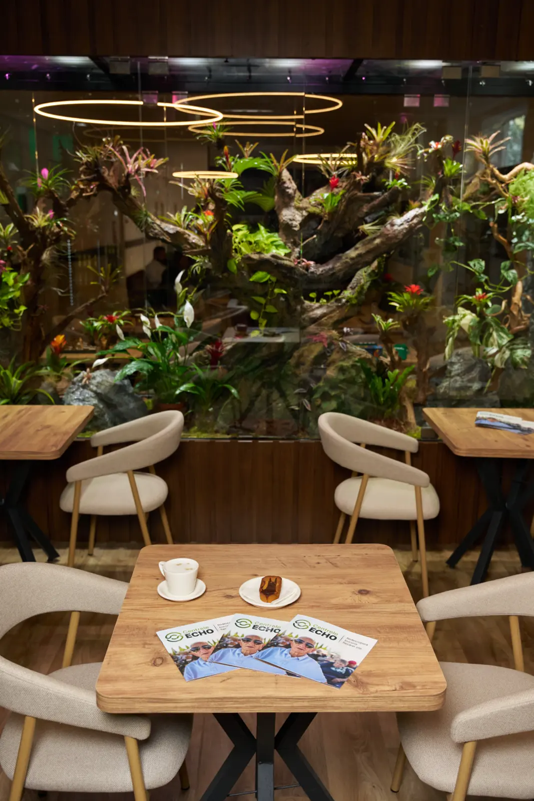 Cafenea modernă cu mese din lemn, scaune bej și un perete vitrat cu plante tropicale și un copac decorativ, AsertivO Otopeni