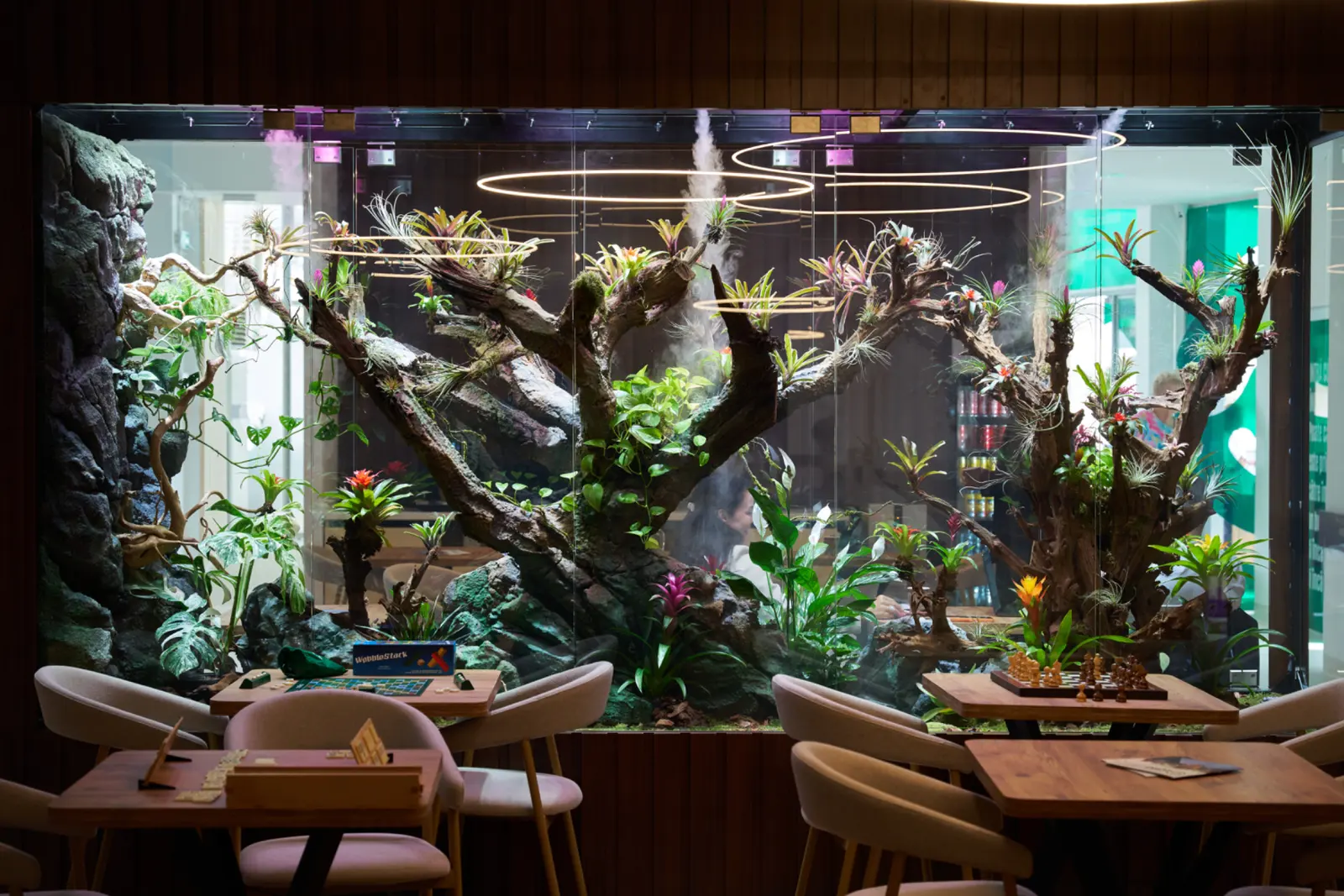 Terariu mare de sticlă cu copaci naturali, plante tropicale colorate, bromeli și tillandsii, iluminat, AsertivO Otopeni